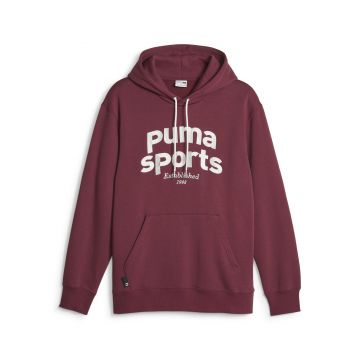 Hanorac PUMA pentru barbati TEAM HOODIE FL - 62520622